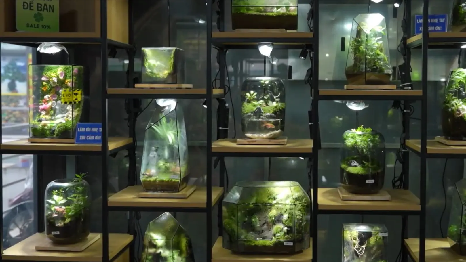 Những khu vườn thu nhỏ